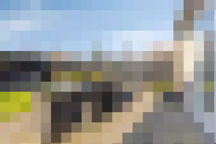 Houtwerf 13 Waarland thumbnail 45
