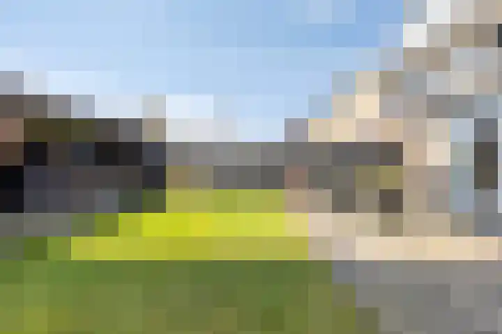 Houtwerf 13 Waarland thumbnail 46