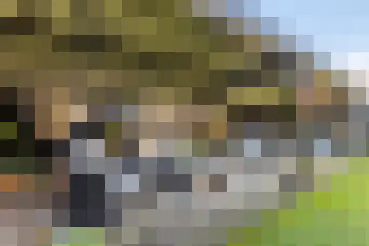Houtwerf 13 Waarland thumbnail 47