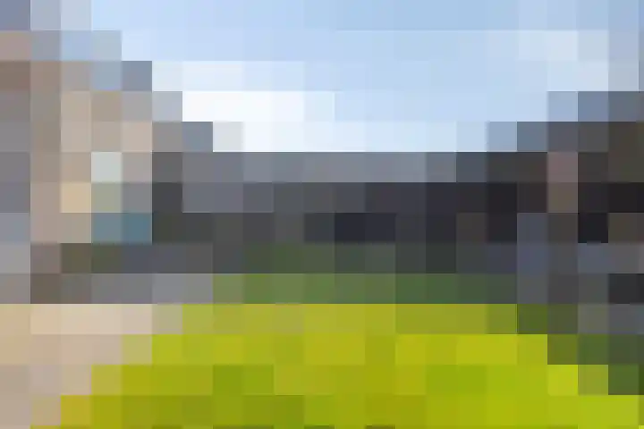 Houtwerf 13 Waarland thumbnail 49