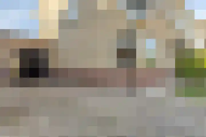 Houtwerf 13 Waarland thumbnail 51