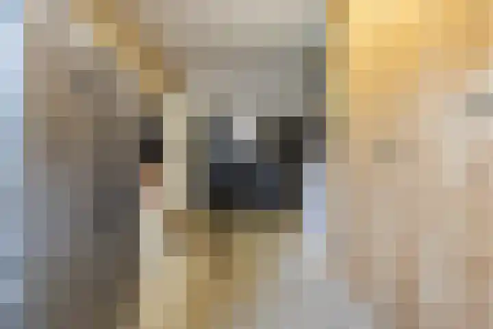 Houtwerf 13 Waarland thumbnail 53