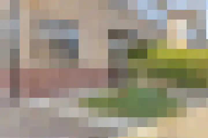 Houtwerf 13 Waarland thumbnail 7