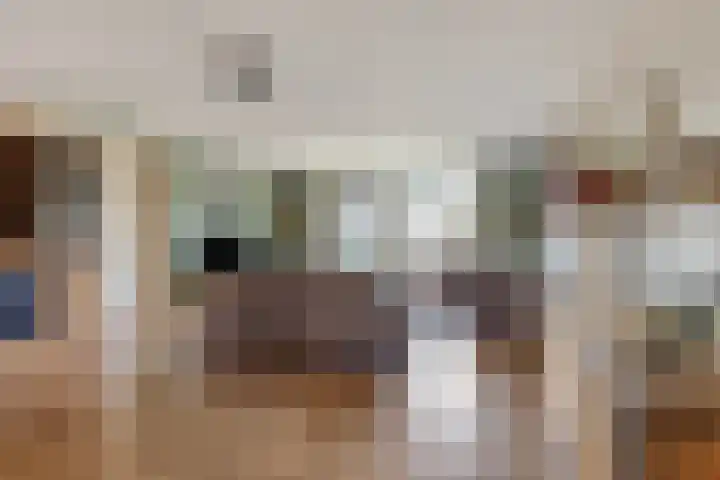 Houtwerf 13 Waarland thumbnail 9