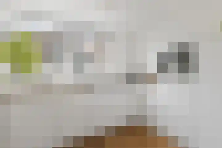 Houtwerf 16 Vleuten thumbnail 18