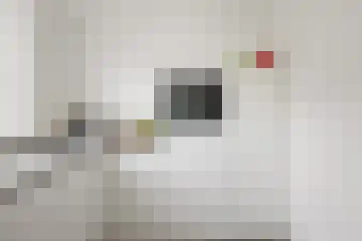 Houtwerf 16 Vleuten thumbnail 19