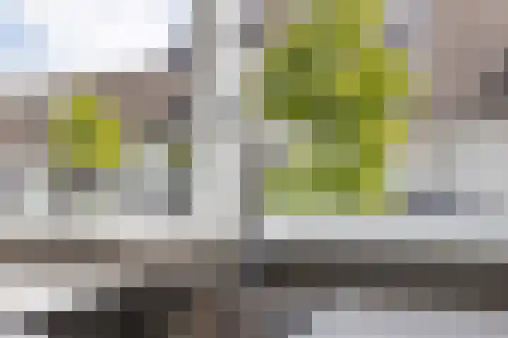 Houtwerf 16 Vleuten thumbnail 21