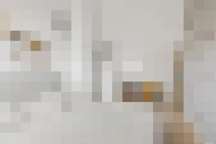 Houtwerf 16 Vleuten thumbnail 27