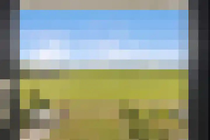Houtwerf 16 Vleuten thumbnail 32