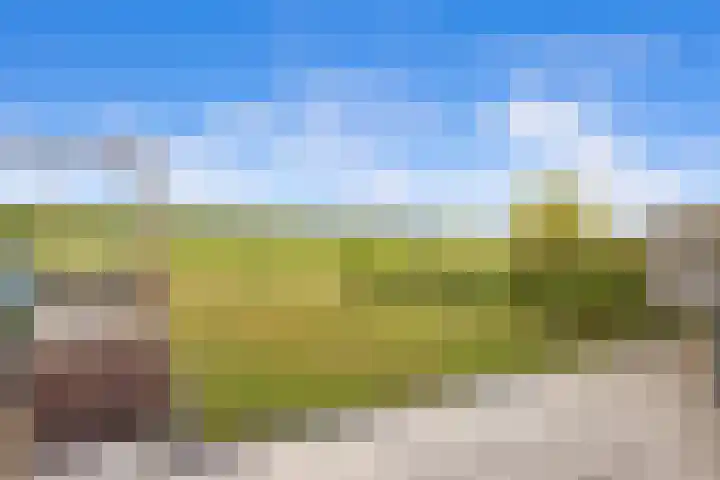 Houtwerf 16 Vleuten thumbnail 49