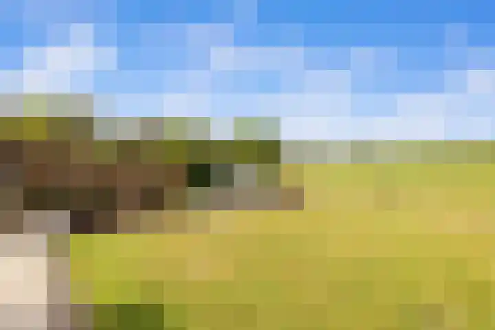 Houtwerf 16 Vleuten thumbnail 50