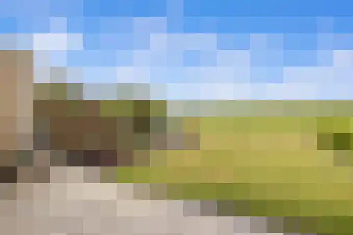 Houtwerf 16 Vleuten thumbnail 51