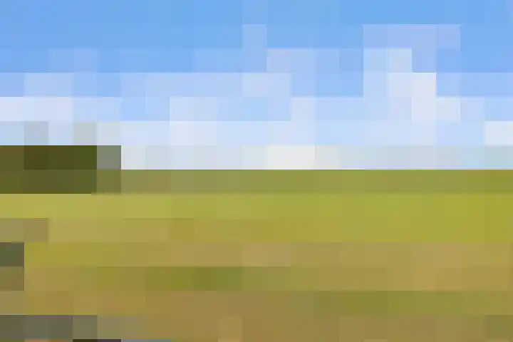 Houtwerf 16 Vleuten thumbnail 53