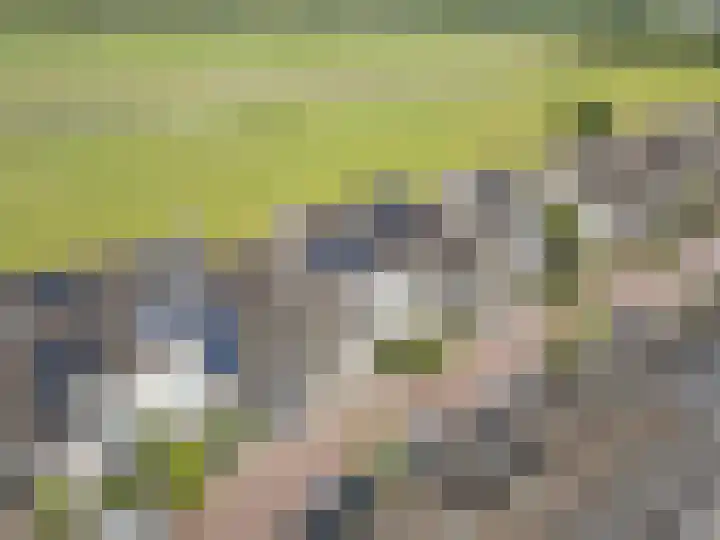 Houtwerf 16 Vleuten thumbnail 60