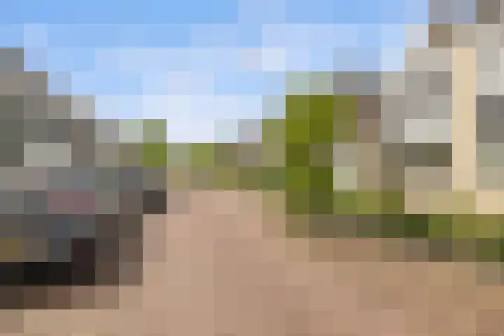 Houtwerf 16 Vleuten thumbnail 63