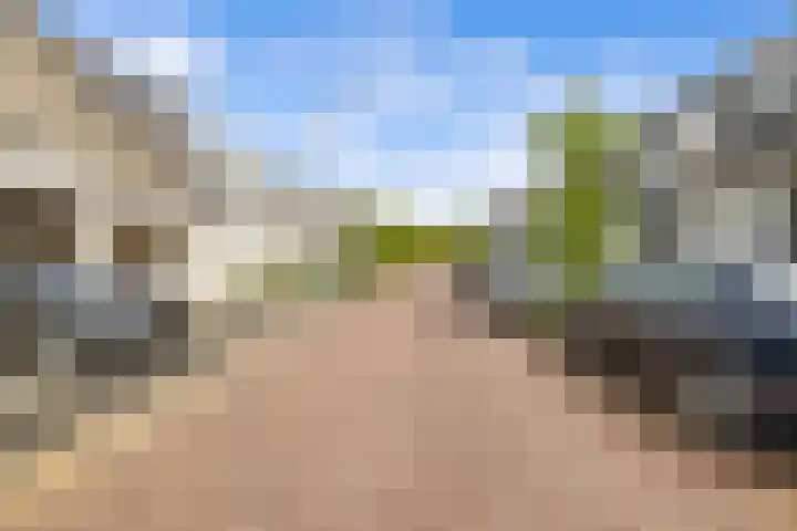 Houtwerf 16 Vleuten thumbnail 64