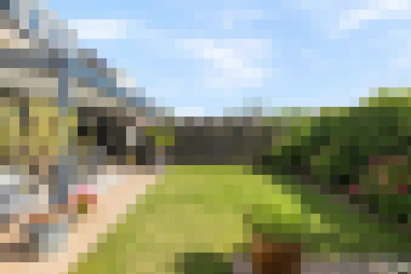 Houtwerf 19 Waarland thumbnail 40