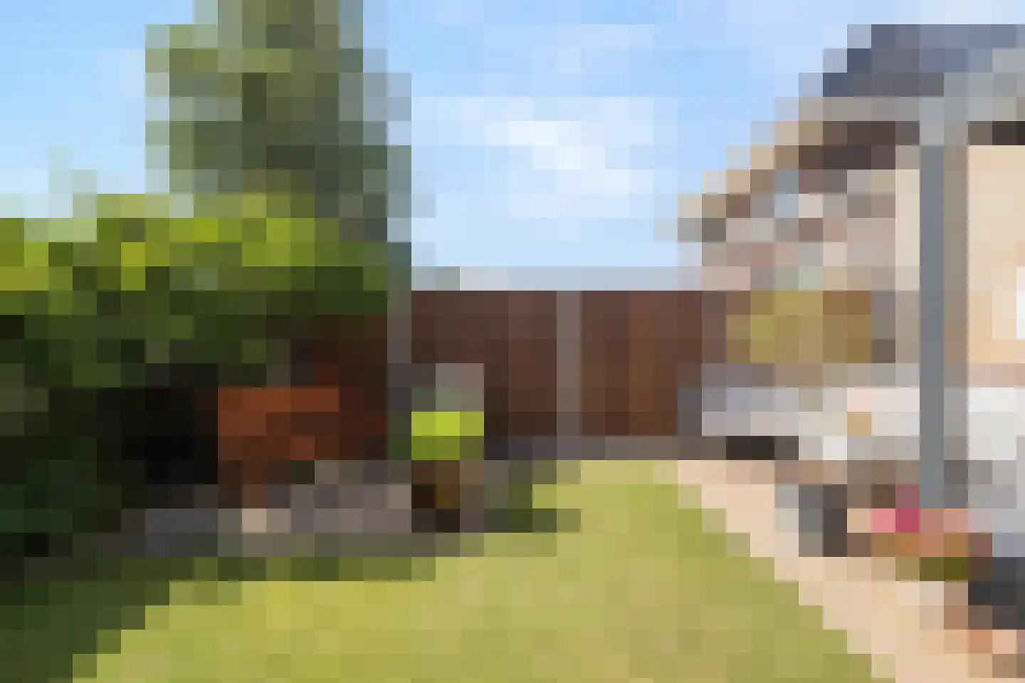 Houtwerf 19 Waarland thumbnail 41