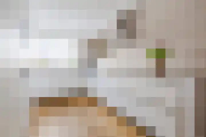 Houtwerf 25 Vleuten thumbnail 18