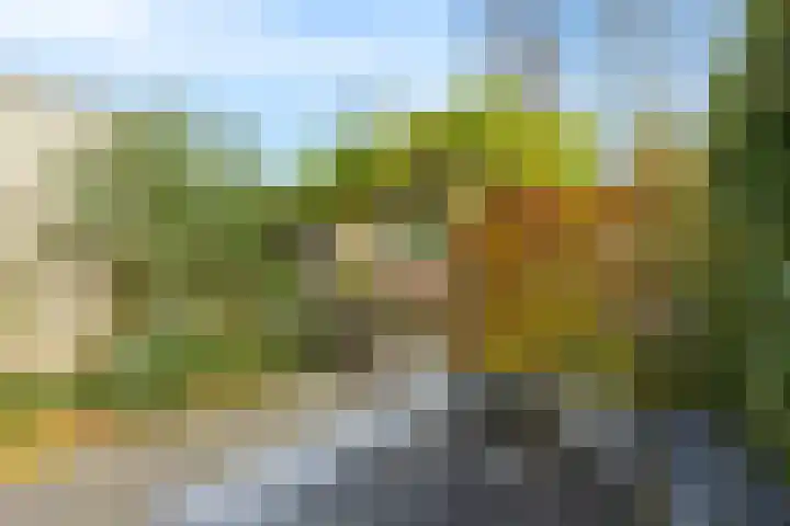 Houtwerf 25 Vleuten thumbnail 27