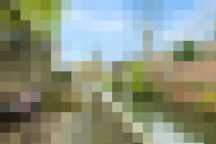 Houtwerf 25 Vleuten thumbnail 28