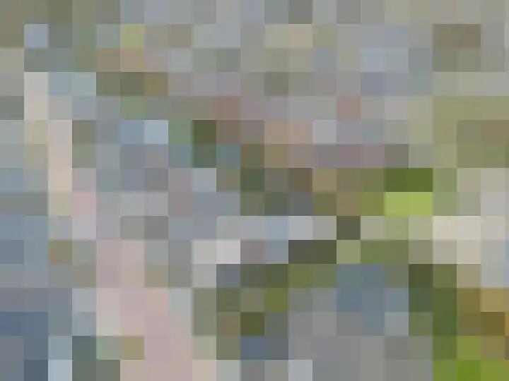Houtwerf 25 Vleuten thumbnail 55