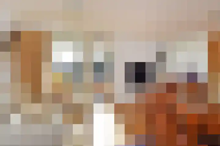 Houtwerf 31 Leidschendam thumbnail 11