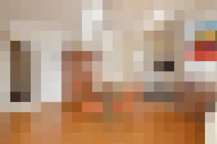 Houtwerf 31 Leidschendam thumbnail 8