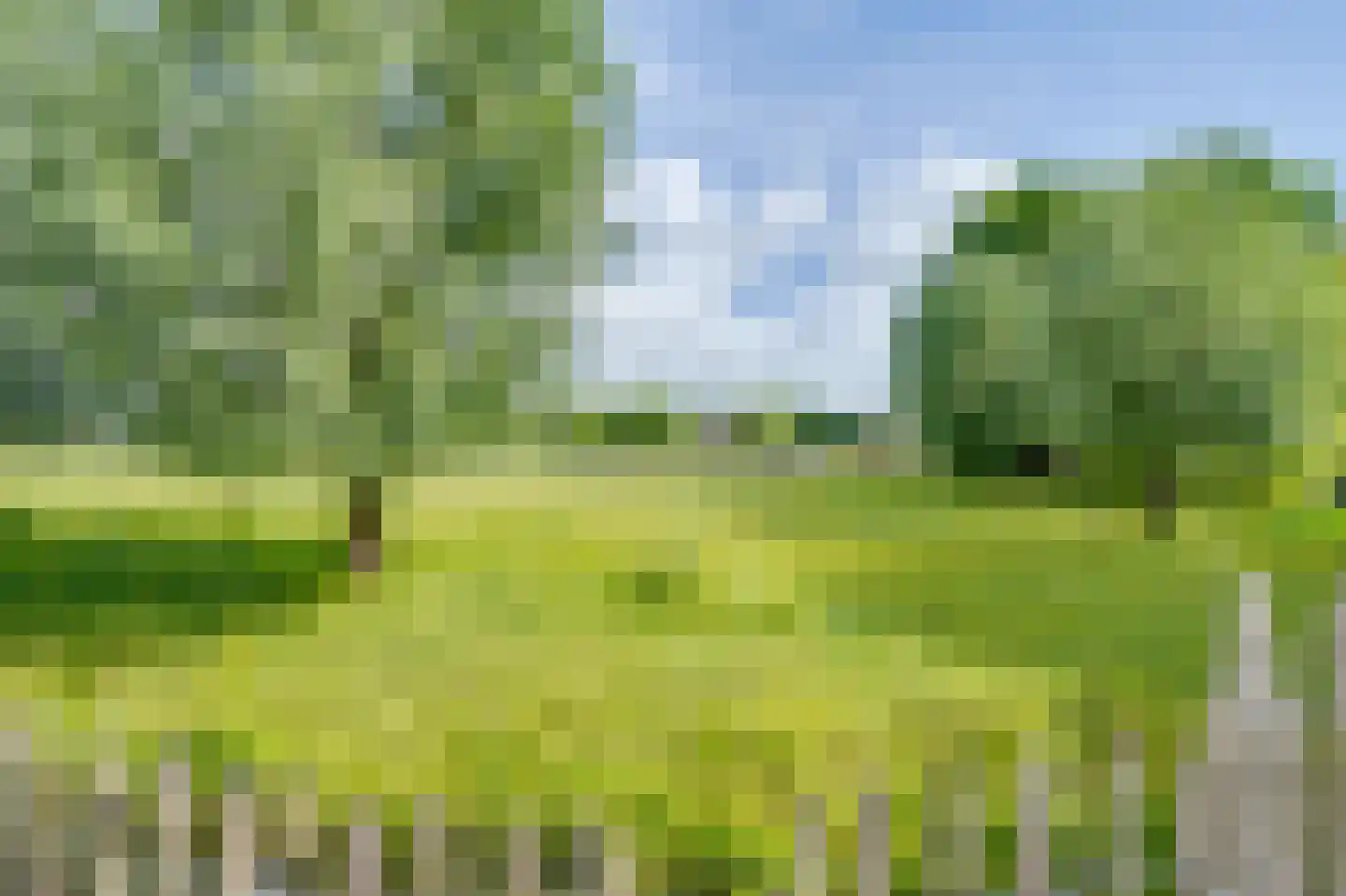 Houtwerf 31 Waarland thumbnail 35