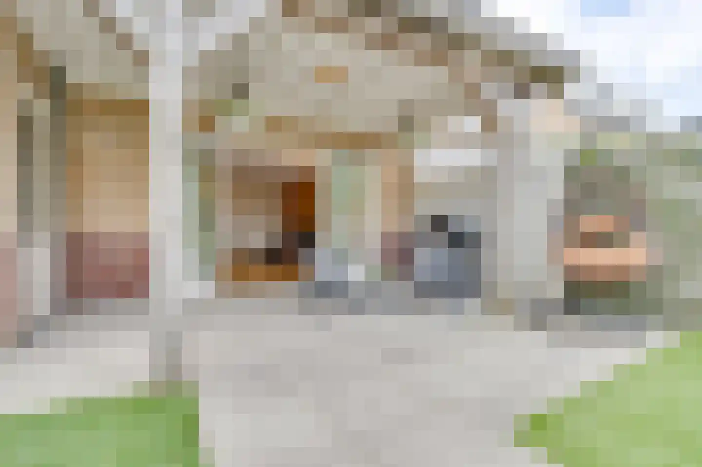 Houtwerf 31 Waarland thumbnail 37