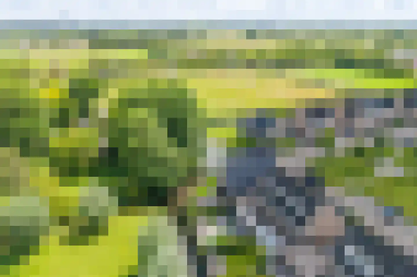 Houtwerf 31 Waarland thumbnail 39