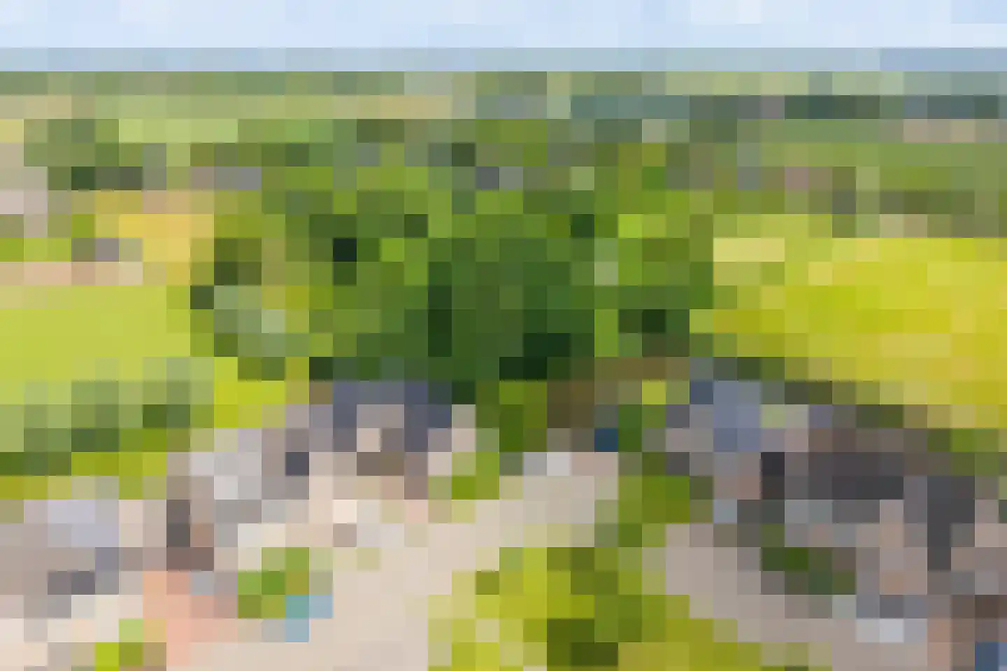 Houtwerf 31 Waarland thumbnail 40