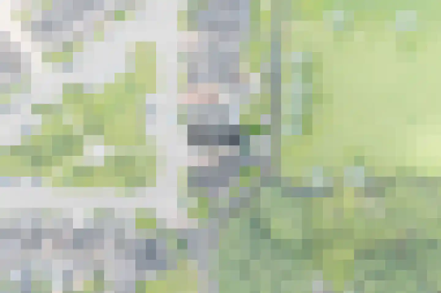 Houtwerf 31 Waarland thumbnail 41