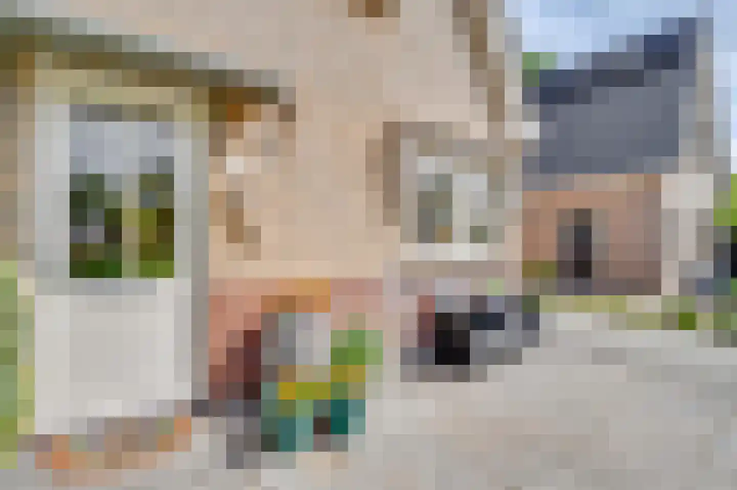 Houtwerf 31 Waarland thumbnail 48