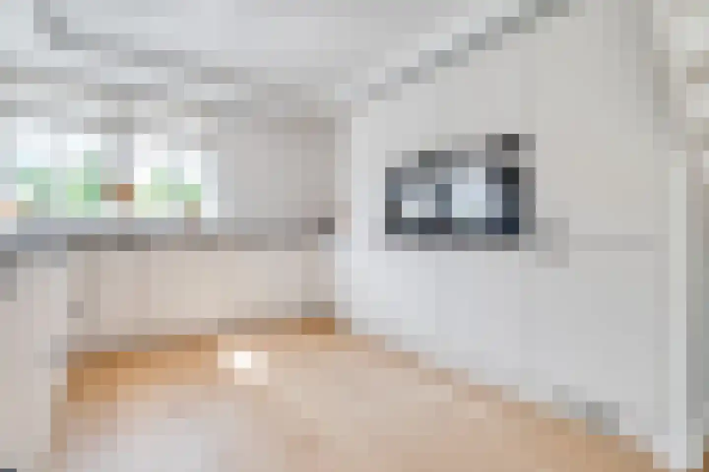 Houtwerf 31 Waarland thumbnail 6