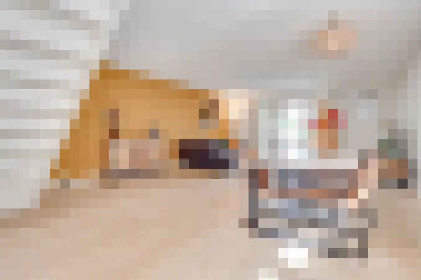 Houtwerf 31 Waarland thumbnail 8