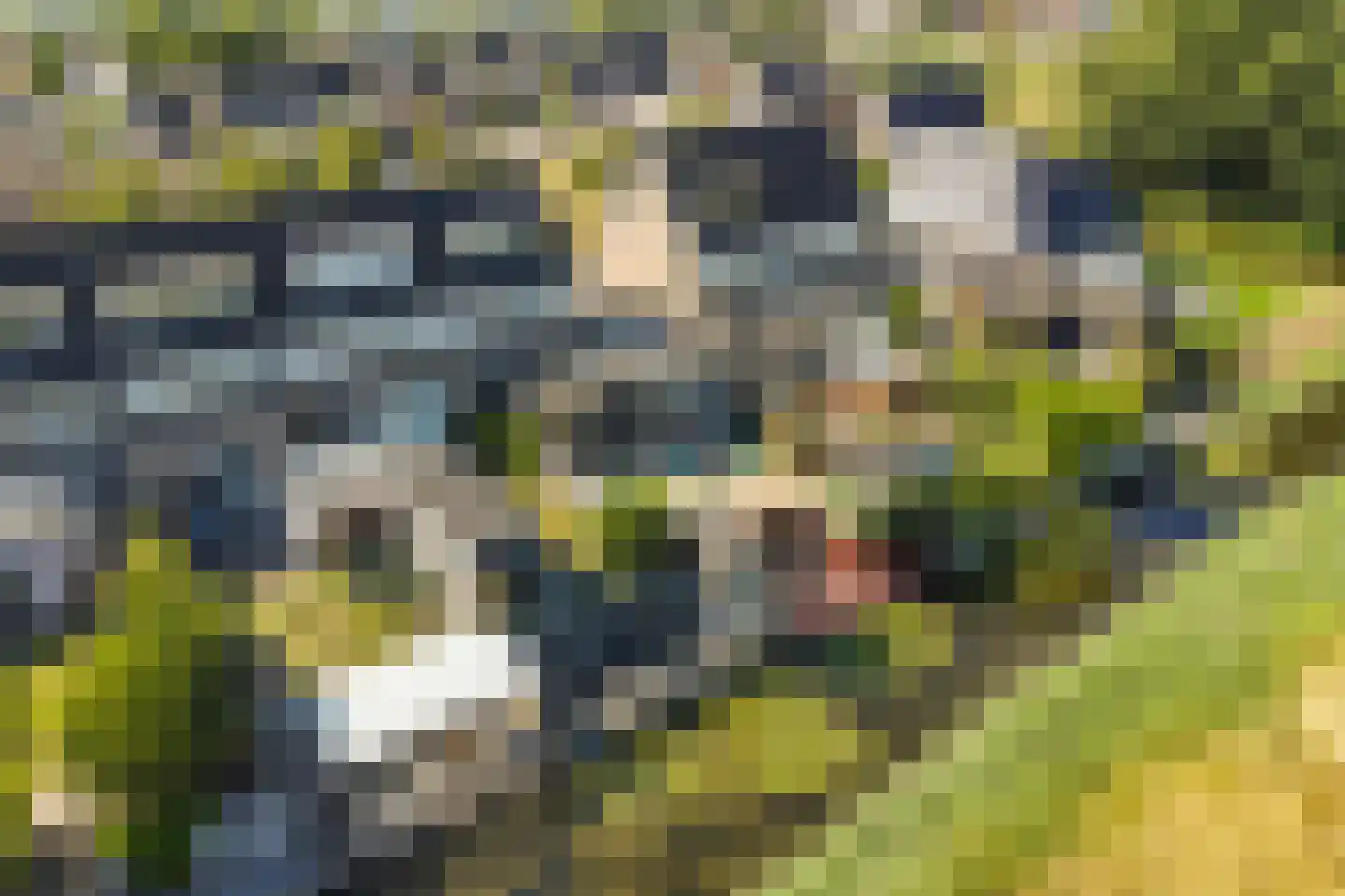 Houtwerf 32 Waarland thumbnail 37