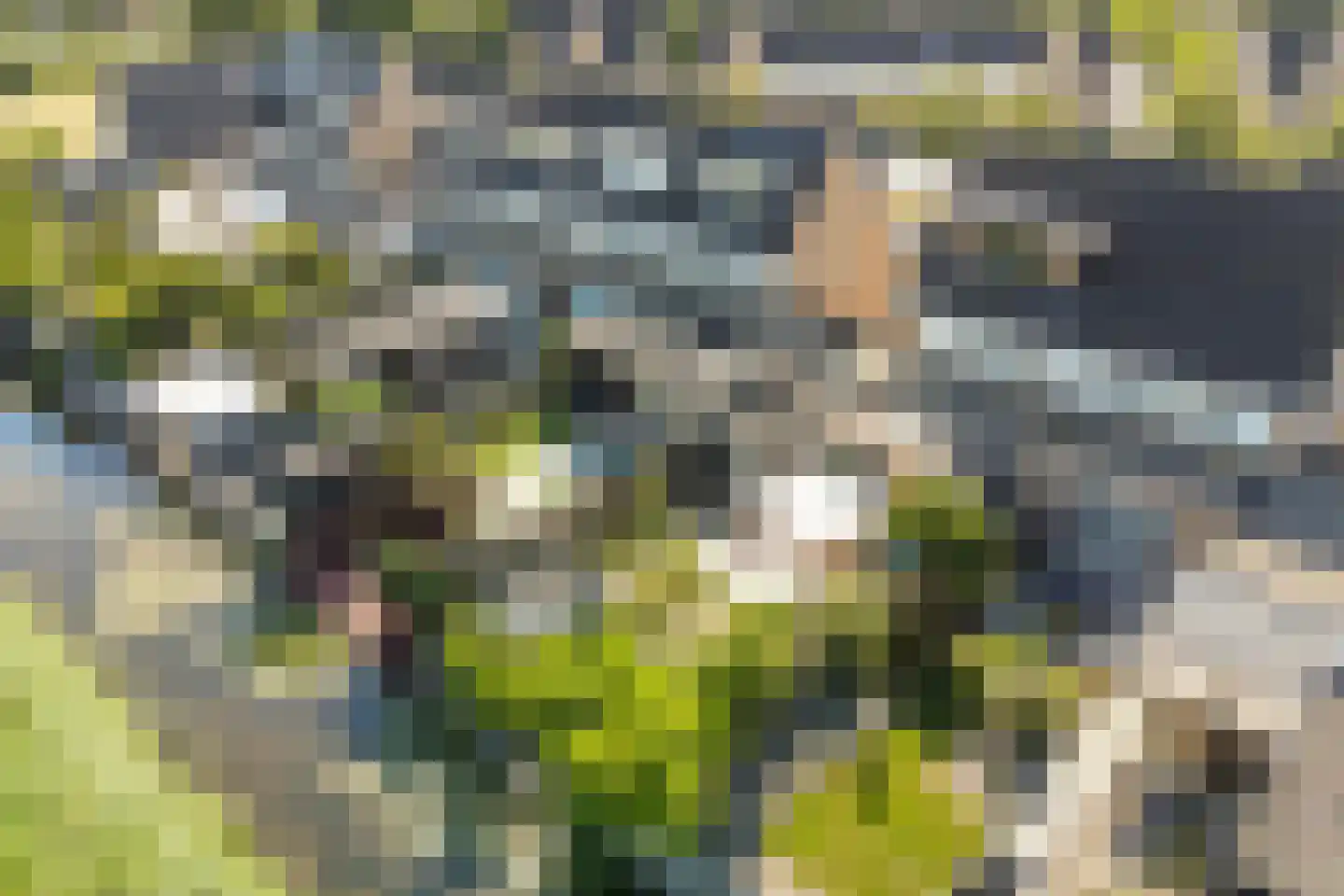 Houtwerf 32 Waarland thumbnail 38