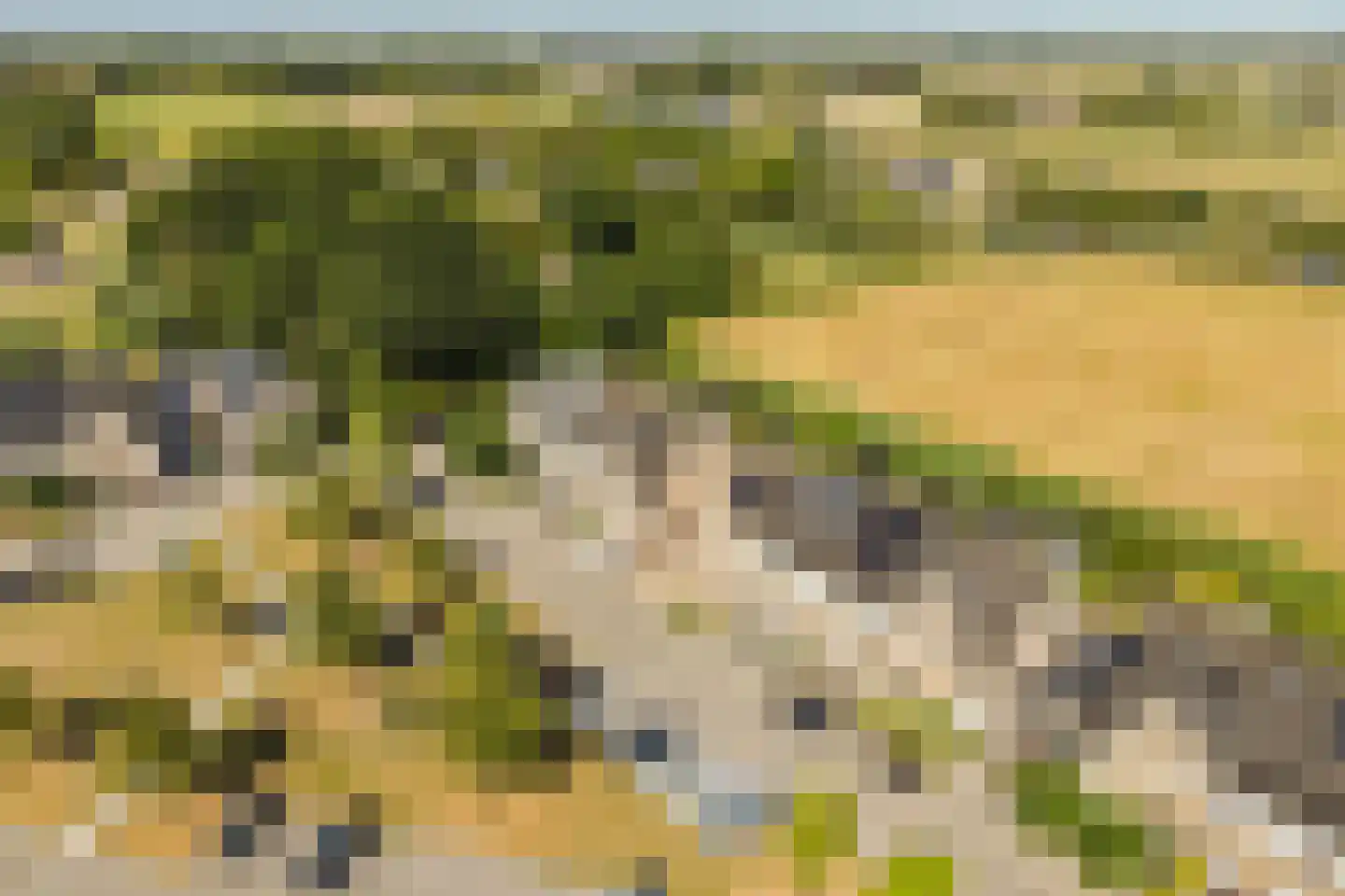 Houtwerf 32 Waarland thumbnail 39
