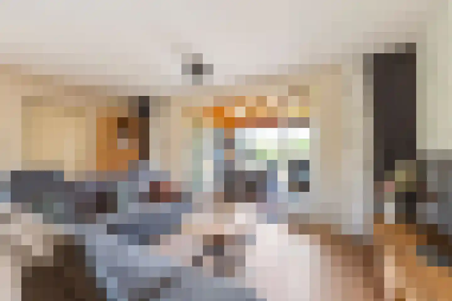 Houtwerf 32 Waarland thumbnail 4