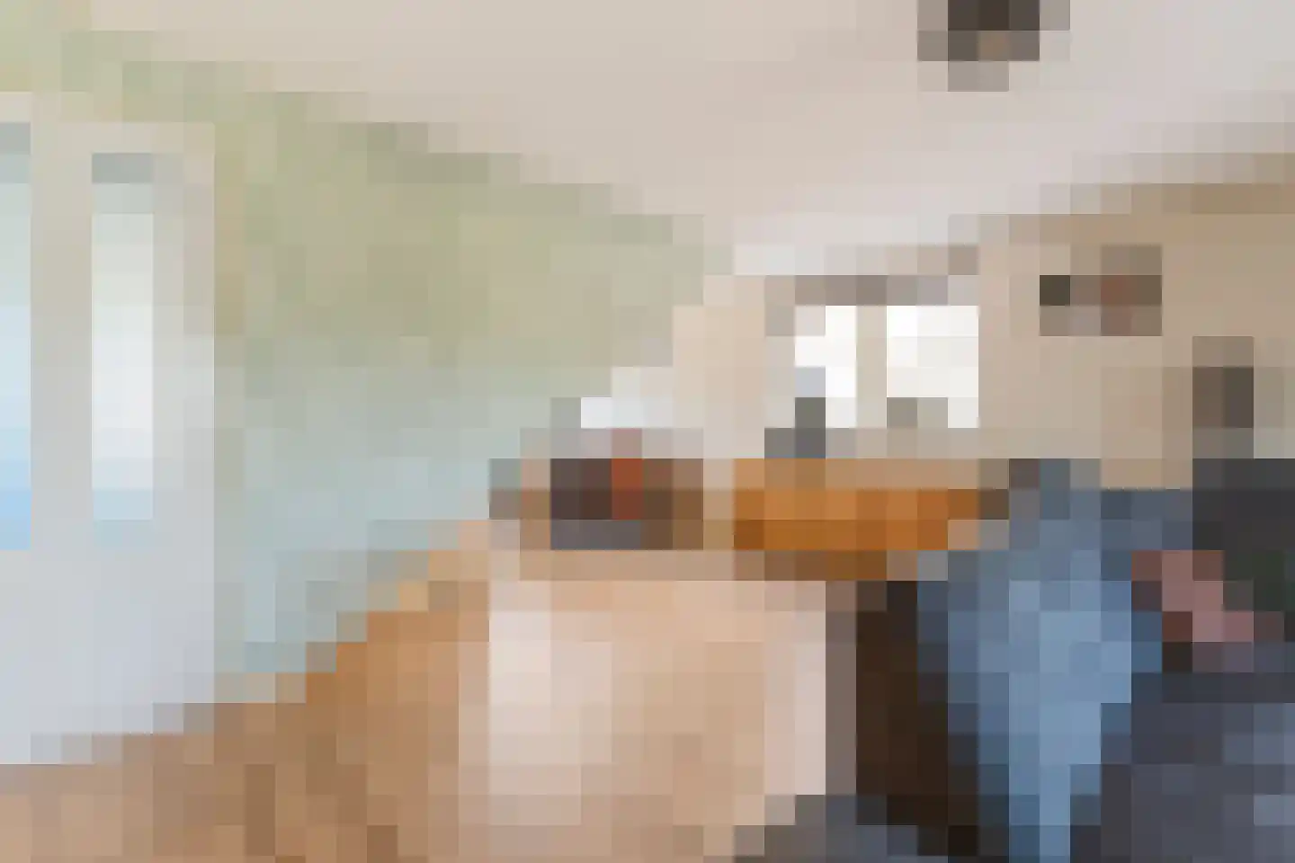 Houtwerf 32 Waarland thumbnail 7