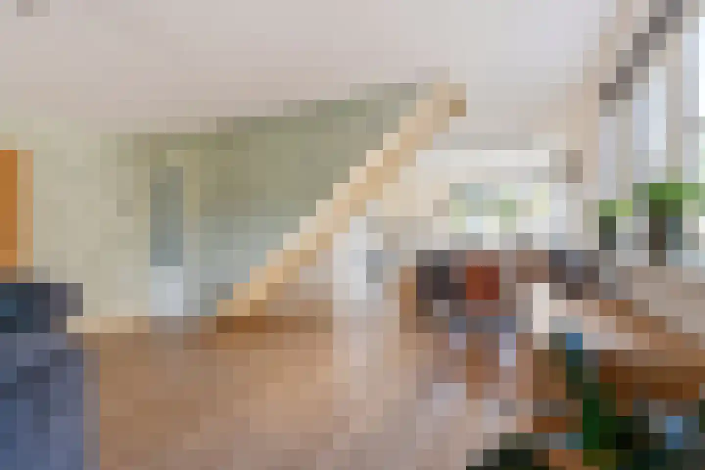 Houtwerf 32 Waarland thumbnail 8