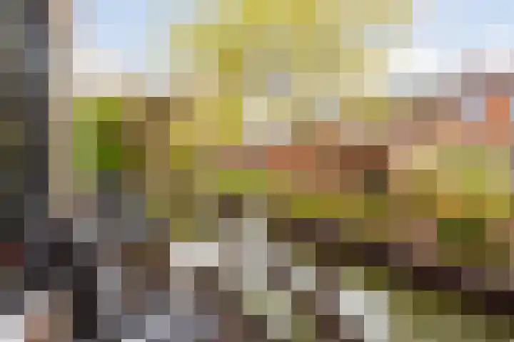 Houtwerf 33 Vleuten thumbnail 22