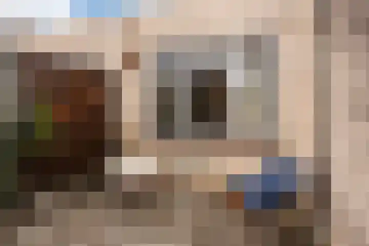 Houtwerf 33 Vleuten thumbnail 25