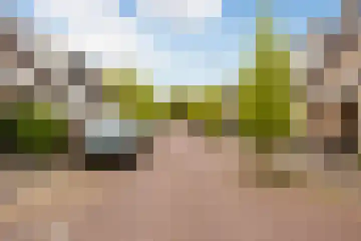 Houtwerf 33 Vleuten thumbnail 35