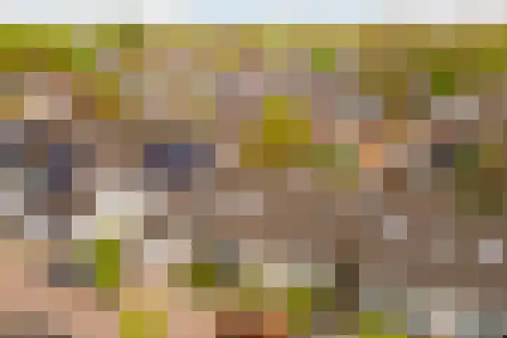Houtwerf 33 Vleuten thumbnail 36