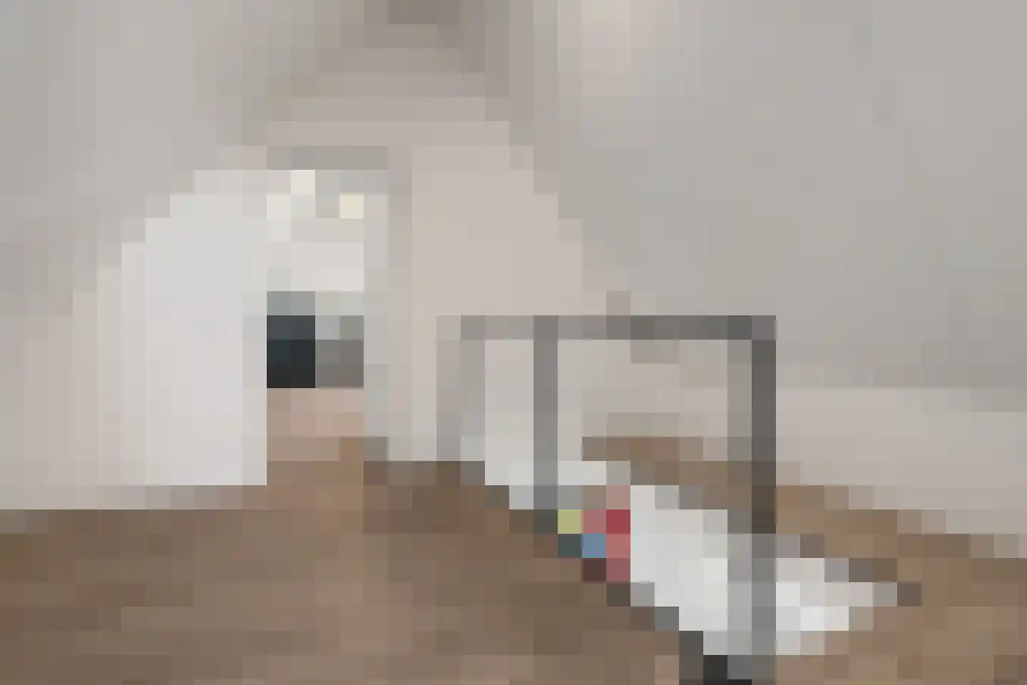 Houtwerf 40 Vleuten thumbnail 30