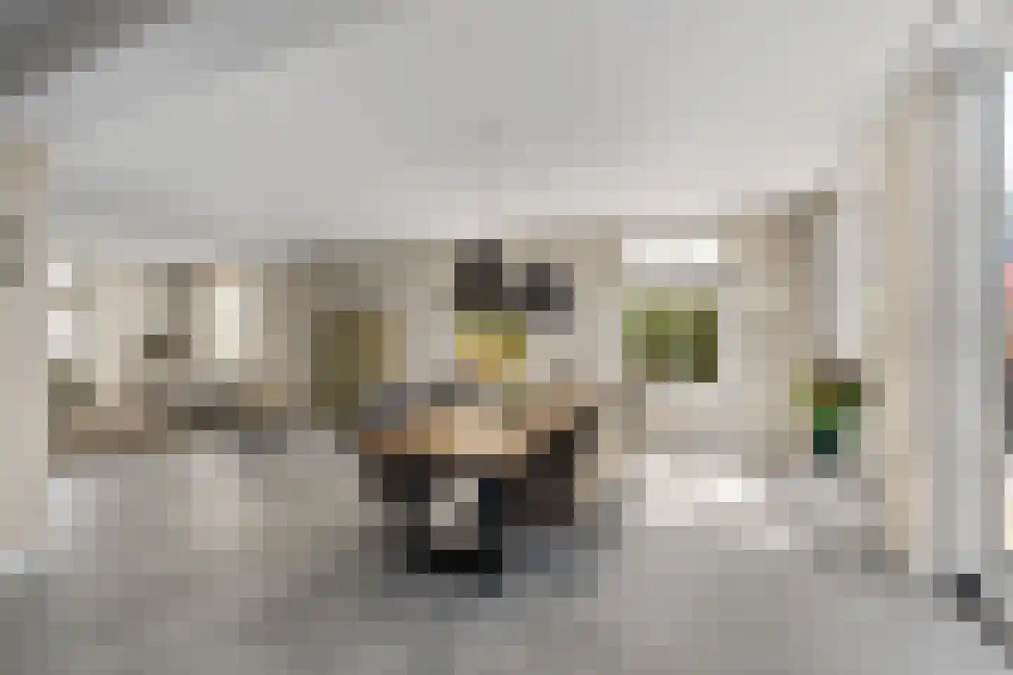 Houtwerf 40 Vleuten thumbnail 7