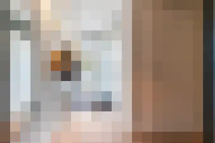 Houtwerf 5 Boxtel thumbnail 6