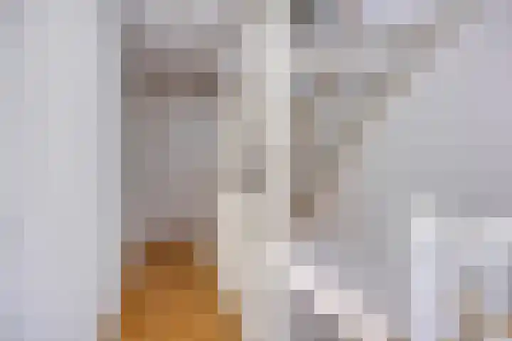 Houtwerf 9 Waarland thumbnail 19